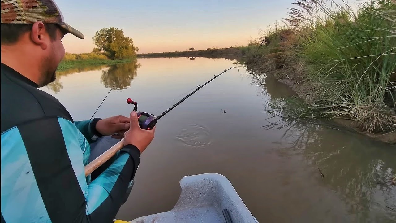 PESCA EN ARROYO ESCONDIDO, Lleno de bogas!!, No te lo pierdas.
