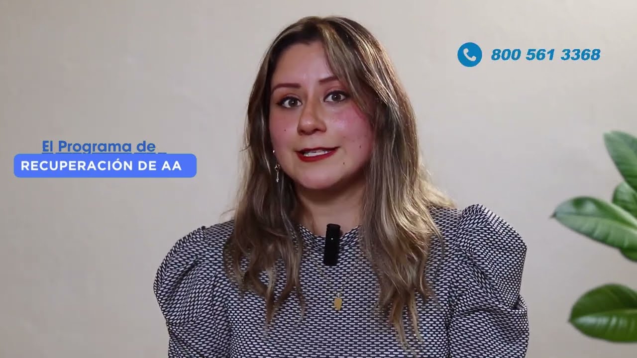 &ldquo;El programa de recuperaci&oacute;n de AA&rdquo;.