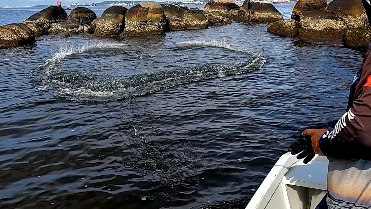 Pescaria com tarrafa de corrente nas pedras  видео о рыбалке