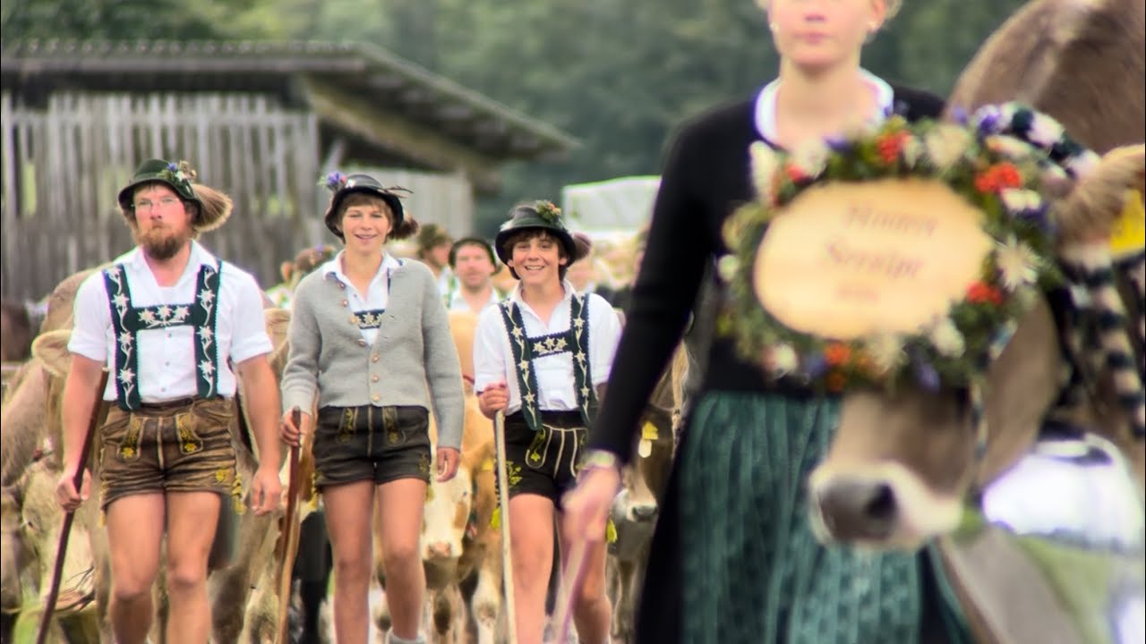 Viehscheid in Schöllang: Tradition und Feier in den Allgäuer Alpen