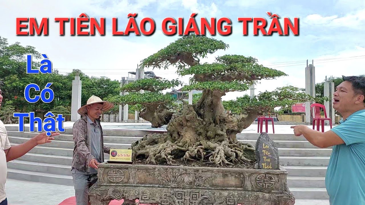 Những TP ĐẸP TRONG TỐP tại triển lãm HẢI HẬU - NAM ĐỊNH 2023 .