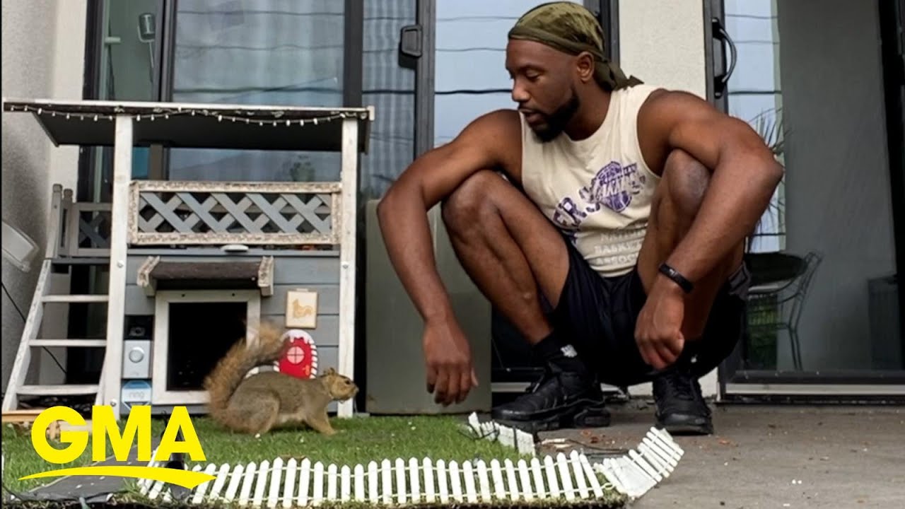 Content creator finds peace in friendship with neighborhood squirrels