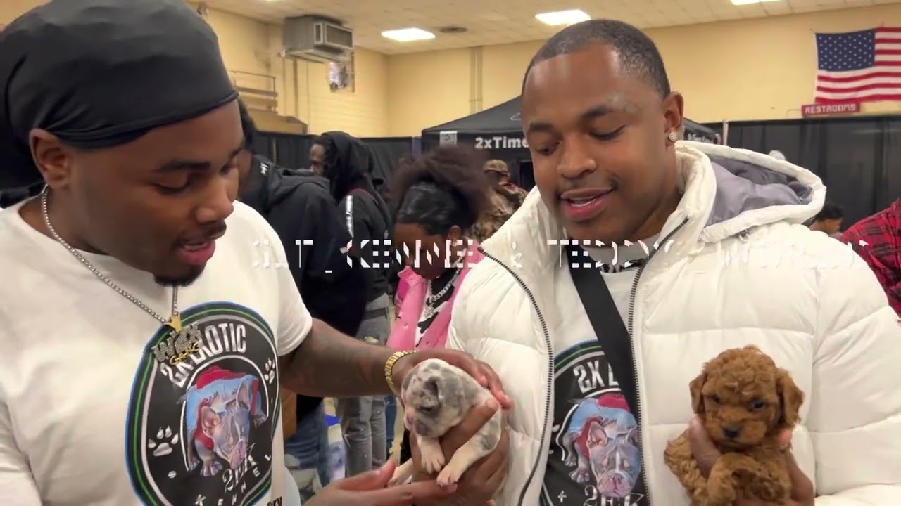 DGlory buys dog for $19k at @Officialboosie1 dog show and wins a heated $1k stack off!