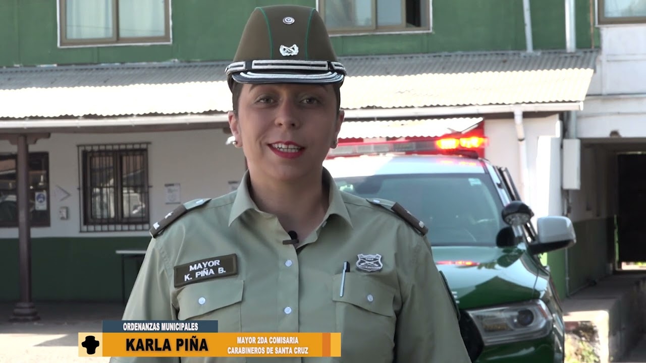 ORDENANZAS MUNICIPALES LIGADAS A LA SEGURIDAD