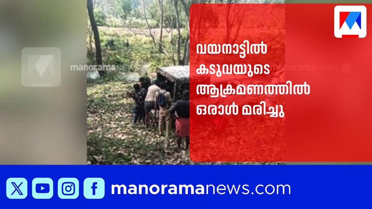 വയനാട്ടിൽ കടുവയുടെ ആക്രമണത്തിൽ ഒരാൾ മരിച്ചു; മൃതദേഹം വനത്തിനുള്ളിൽ കണ്ടെത്തി ​| Wayanad ​| Tiger