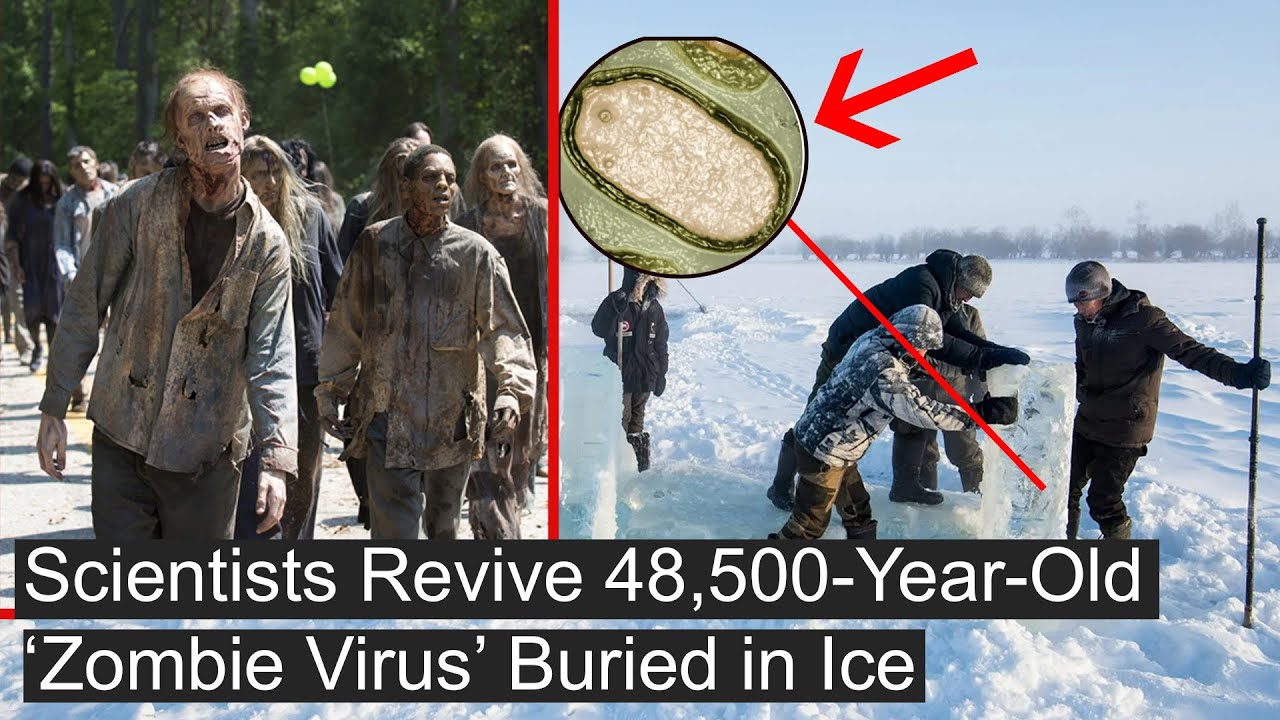 Scientists Revive 48,500 Year Old &lsquo;Zombie Virus&rsquo; Buried in Ice