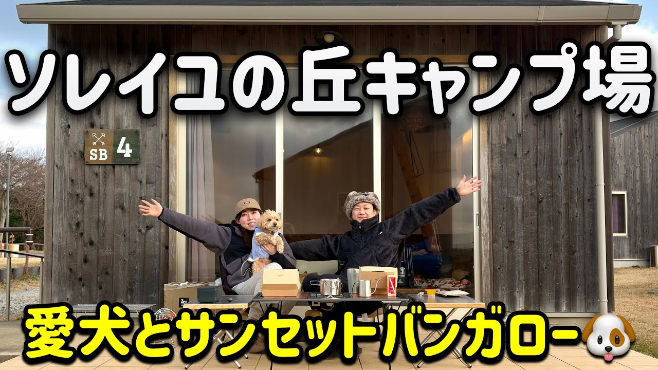 ソレイユの丘キャンプ場｜愛犬と泊まれるサンセットバンガロー徹底解説！