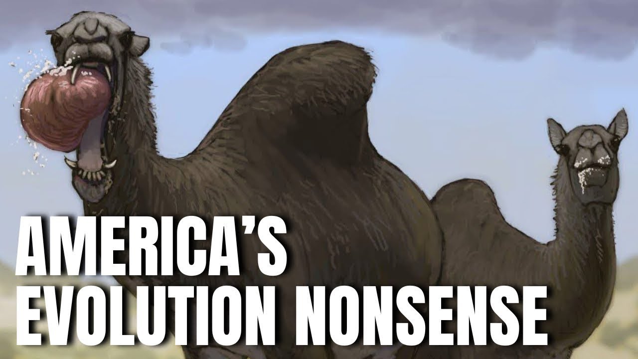 The NONSENSE Evolution of Camel Ancestors