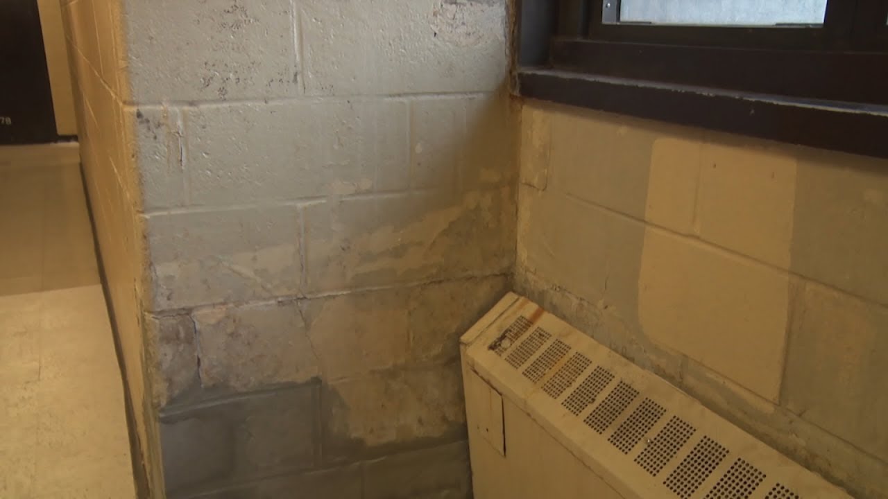 NYCHA Health Concerns