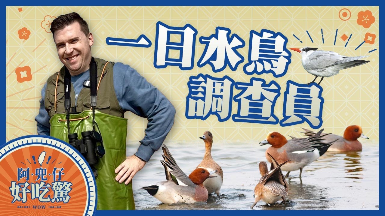 《阿兜仔好吃驚之阿兜仔出任務ep1》什麼！電廠不只是發電？竟然還是「水鳥大飯店」？！斯坦化身一日水鳥調查員👷‍♂️揭秘飛鳥電廠如何實現電力與自然的完美共生！