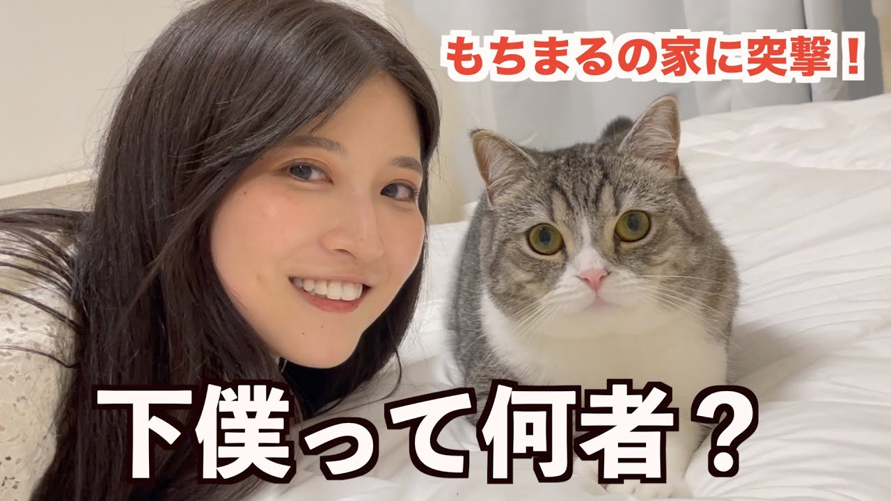 もちまる日記の家に突撃してみた！