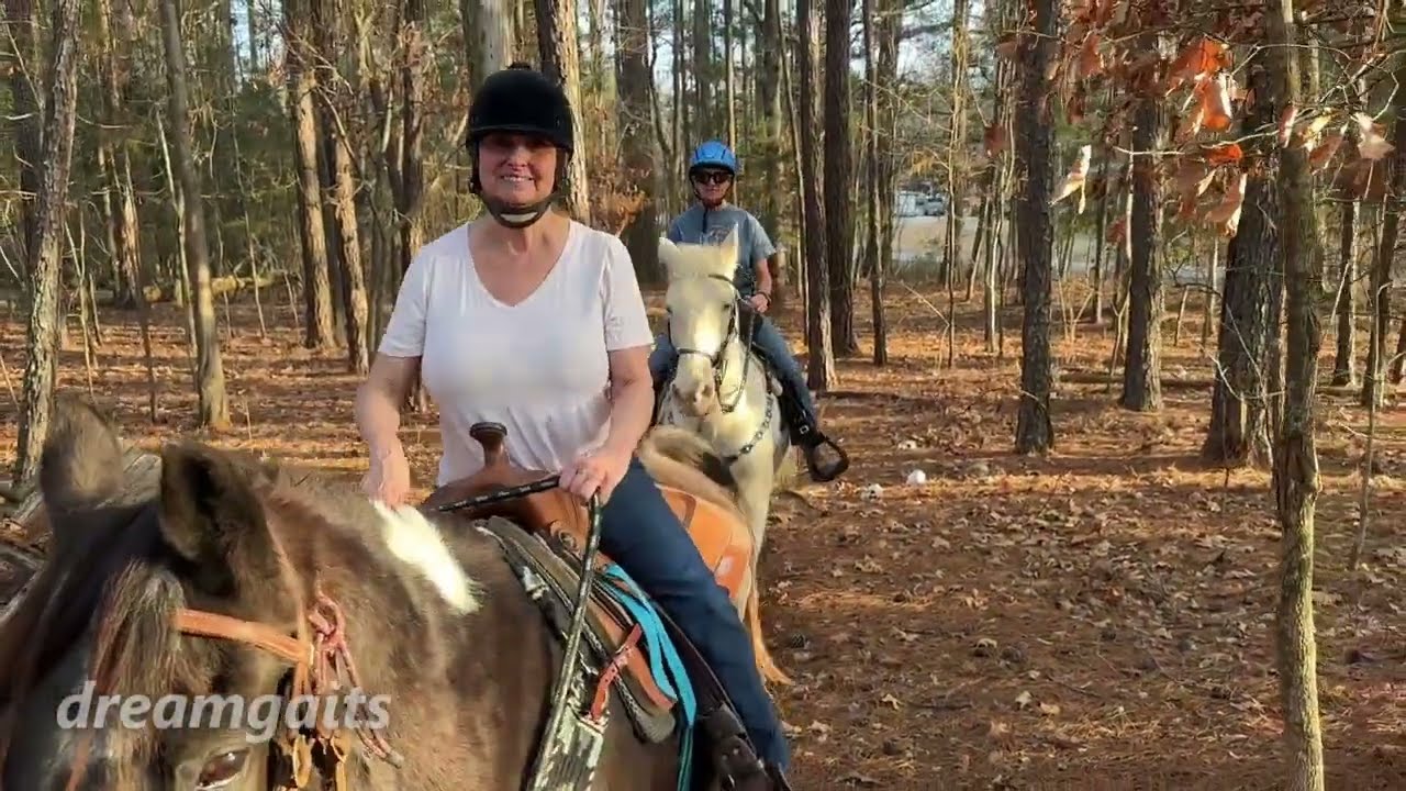 Adult Beginner Horse Riding Lesson 4 #horse #bucketlist #horseriding #equestrianjourney #fun