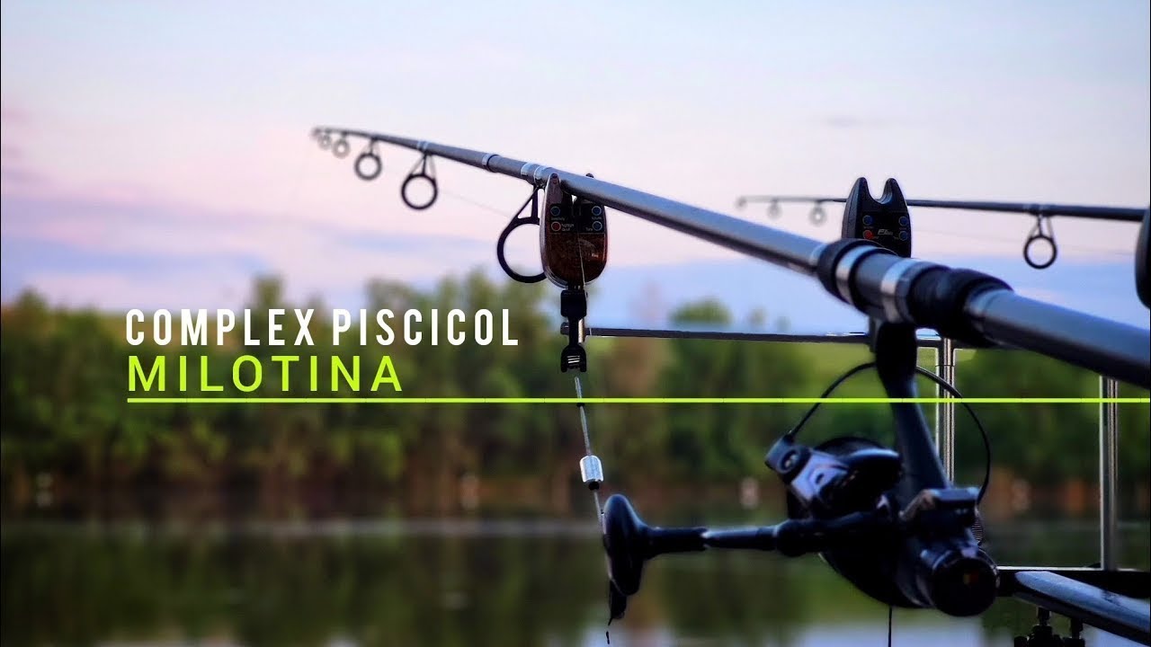 Balta Plina de Crap! Pescuit de Placere si Relaxare pe Complex Piscicol Milotina 💥💥🐟🐟