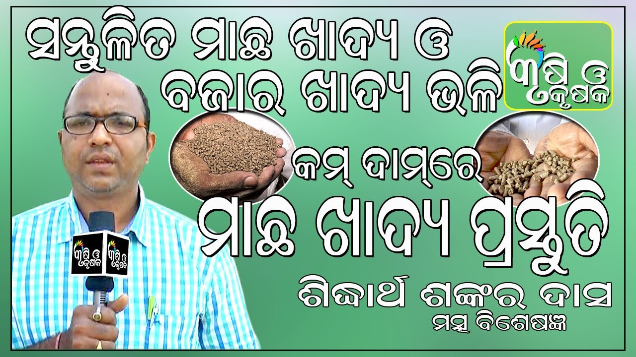 ସନ୍ତୁଳିତ ମାଛ ଖାଦ୍ୟ ଓ ବଜାର ଖାଦ୍ୟ ଭଳି କମ ଦାମରେ ମାଛ ଖାଦ୍ୟ ପ୍ରସ୍ତୁତି