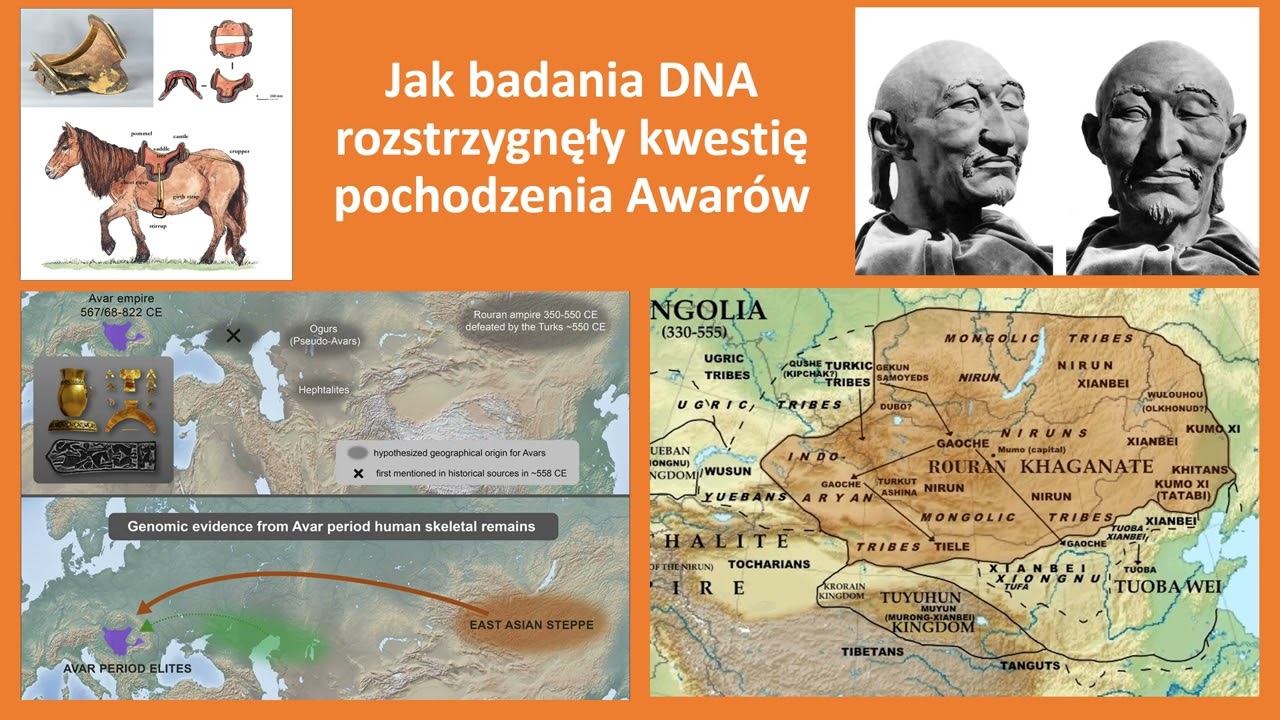 048 Jak badania DNA rozstrzygnęły kwestię pochodzenia Awarów