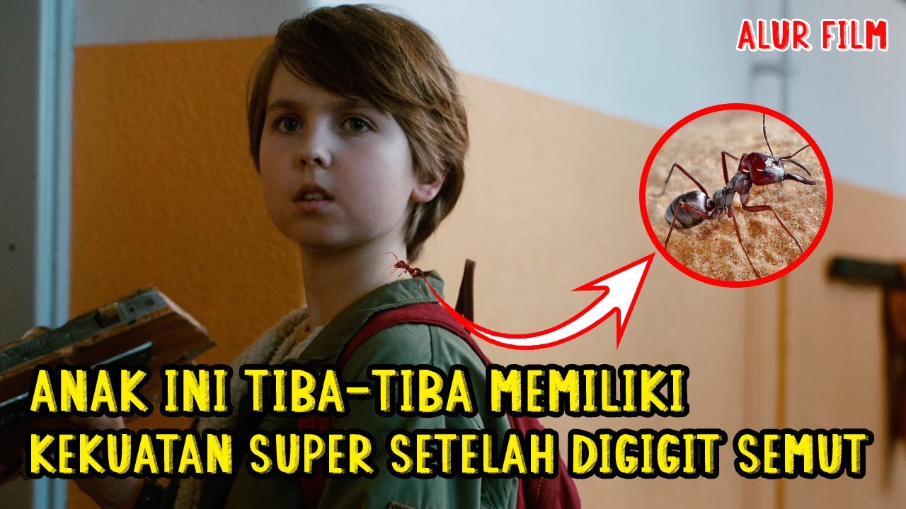 Anak Culun Ini Tiba2 Memiliki Keku4tan Sup3r Dan Menjadi Idola Baru | Alur Film Antb0y (2013)