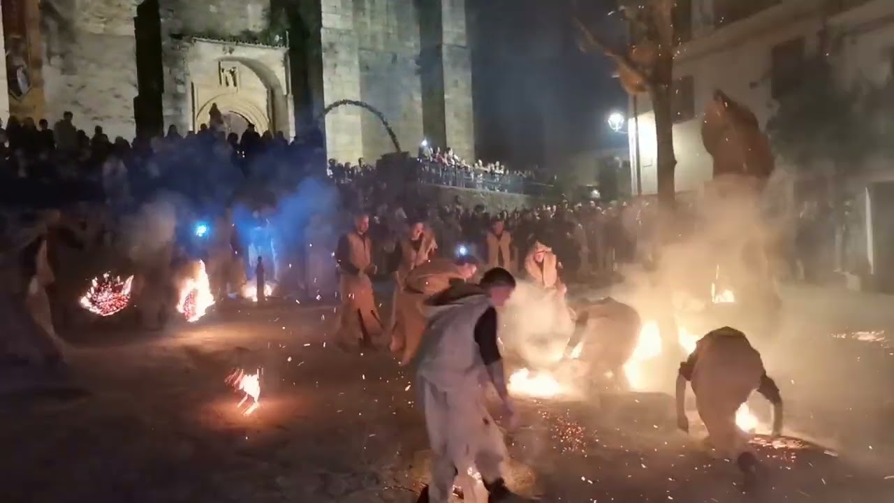 Fiesta del Capazo 2025 en Torre de Don Miguel: los capaceros de faena en la plaza (27-4-2025)