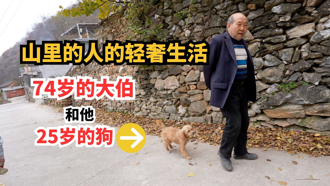 农村25岁的狗和他74岁的主人的轻奢生活|The Modest Luxury Life of a 25-Year-Old Village Dog and His 74-Year-Old Owner