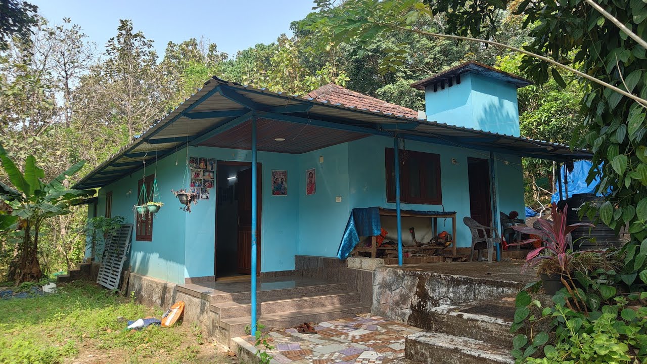 ധാരാളം ആദായമുള്ള 160സെൻ്റ് പറമ്പും വീടും ചേലക്കര ഭാഗത്ത് വിൽപനക്ക്
