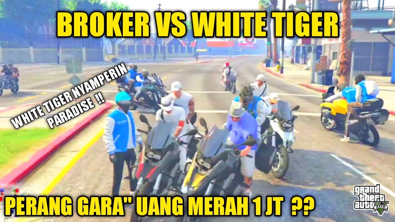 BROKER VS WHITE TIGER !! PERANG GARA