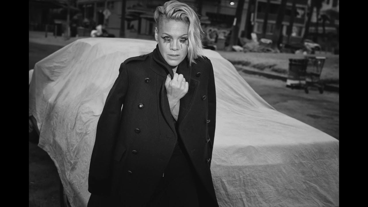P!nk - Please Don't Leave Me (Official Acapella) [HD]