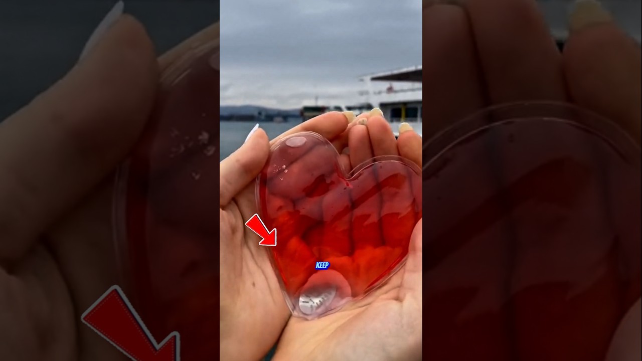 How Reusable Hand Warmers Work &ndash; Heat from a Simple Click!