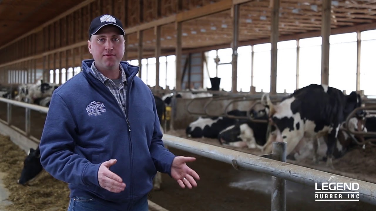 Cow Comfort - A Hoof Trimmer speaks on Legend and Hooftrimming