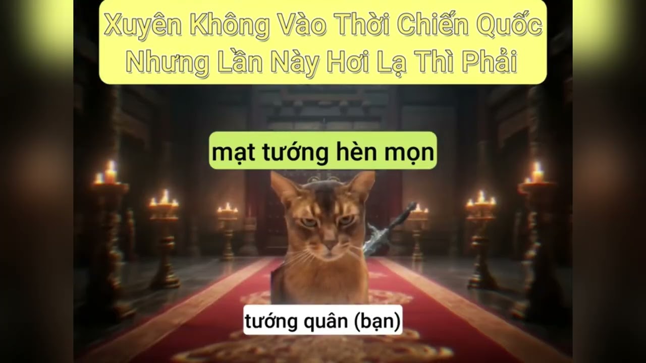 Khi T&ocirc;i Xuy&ecirc;n Kh&ocirc;ng Đến Thời Chiến Quốc | Queen Cat