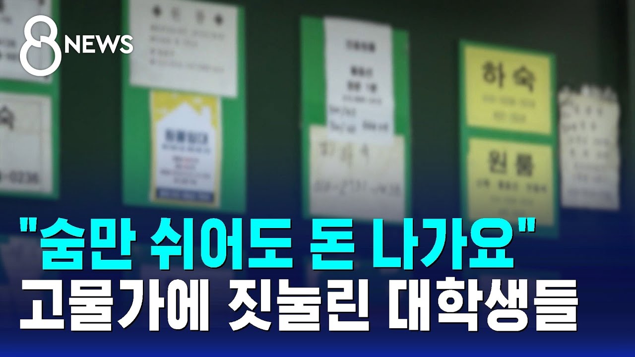 '식비·월세·등록금' 다 올랐다…고단한 대학생들 / SBS 8뉴스