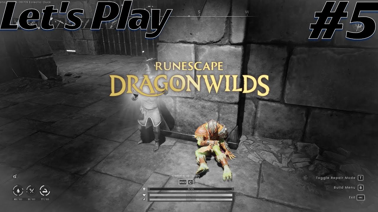 WARBANDS! + Dragon Slayer progress!! Let's Play RuneScape DragonWilds   EP. 5