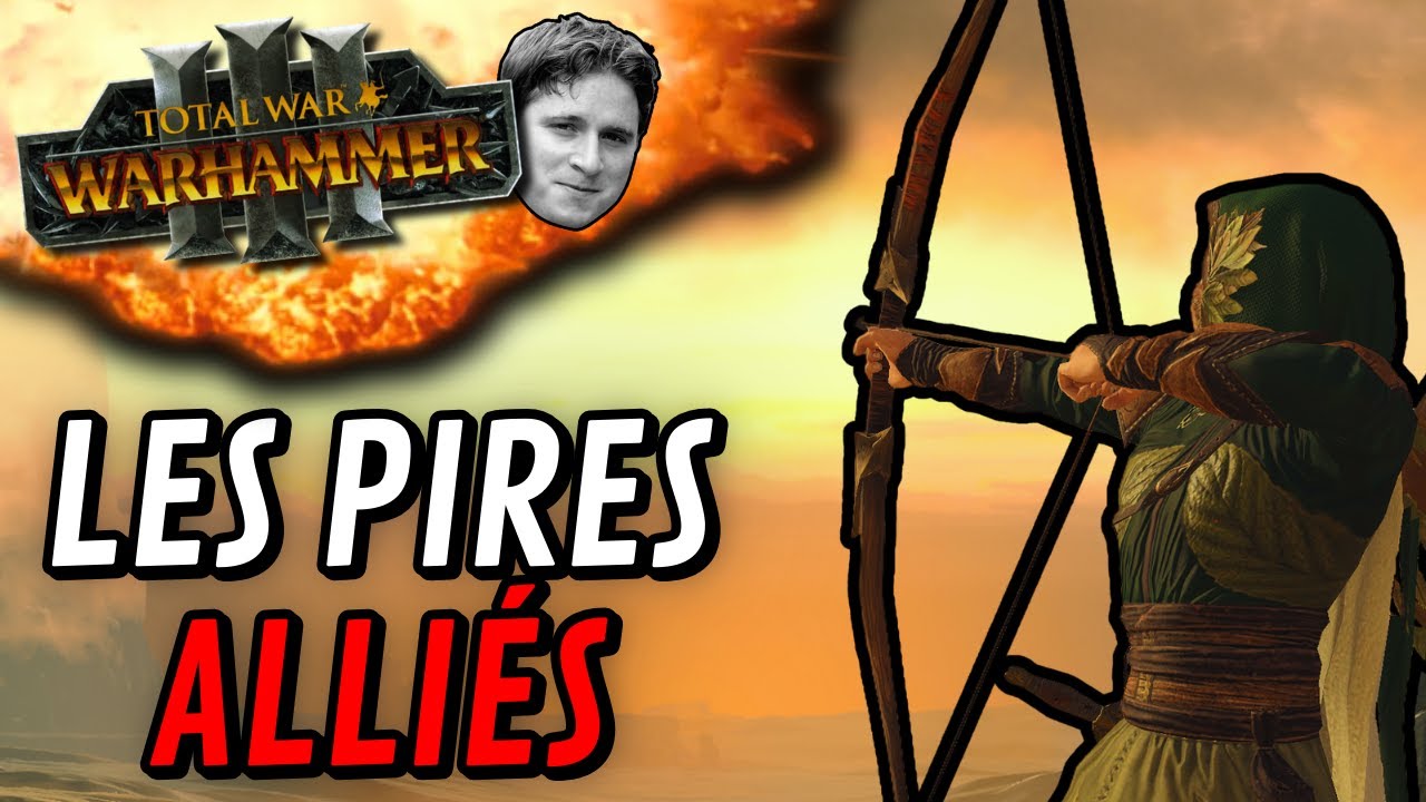 MES ALLIÉS SONT NULS ! CAUCHEMAR EN MULTI !