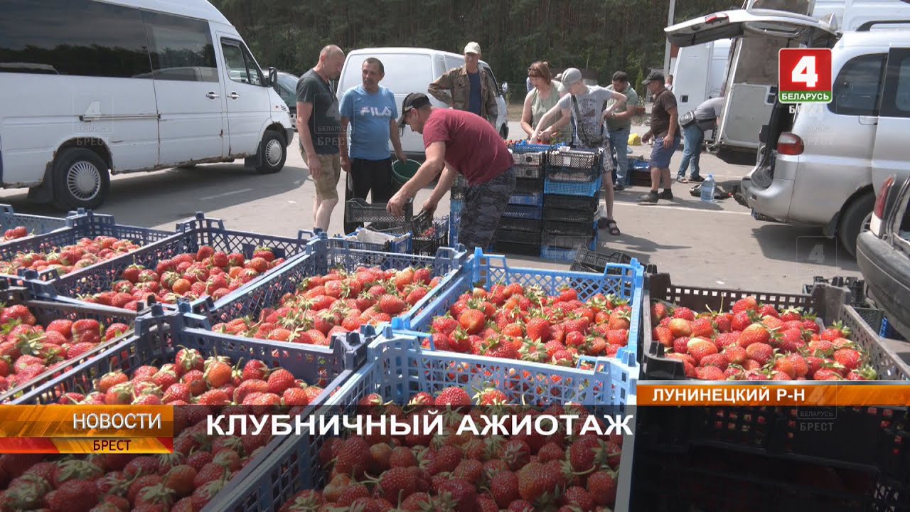 КЛУБНИЧНЫЙ АЖИОТАЖ