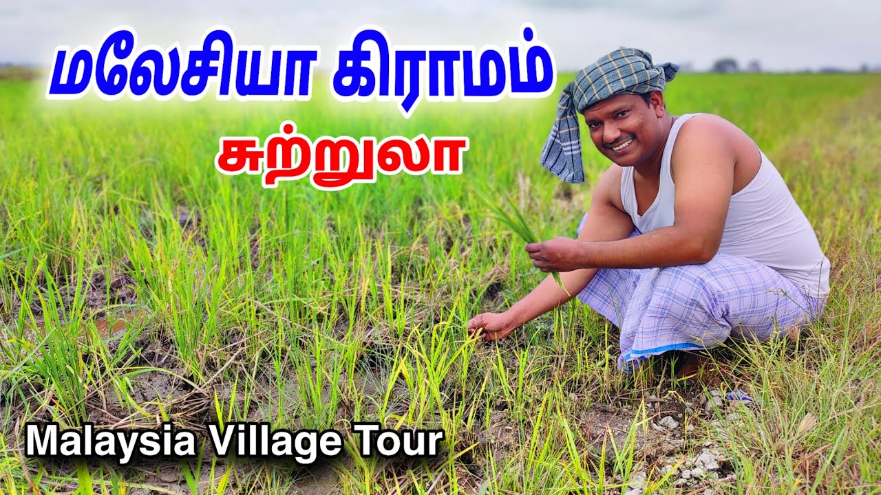 💥 மலேசியா கிராமம் சுற்றுலா | Malaysia Village Tour | Kuala Selangor | Malaysia | ASRAF VLOG