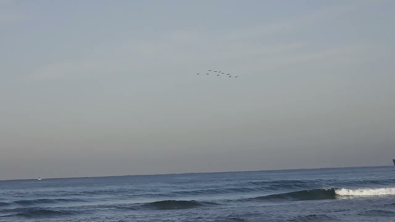 חוף הים בחדרה