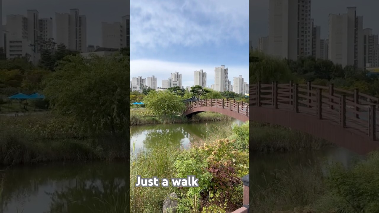 Peaceful Walk in Korea&rsquo;s Lake Park #lakepark #relaxing
