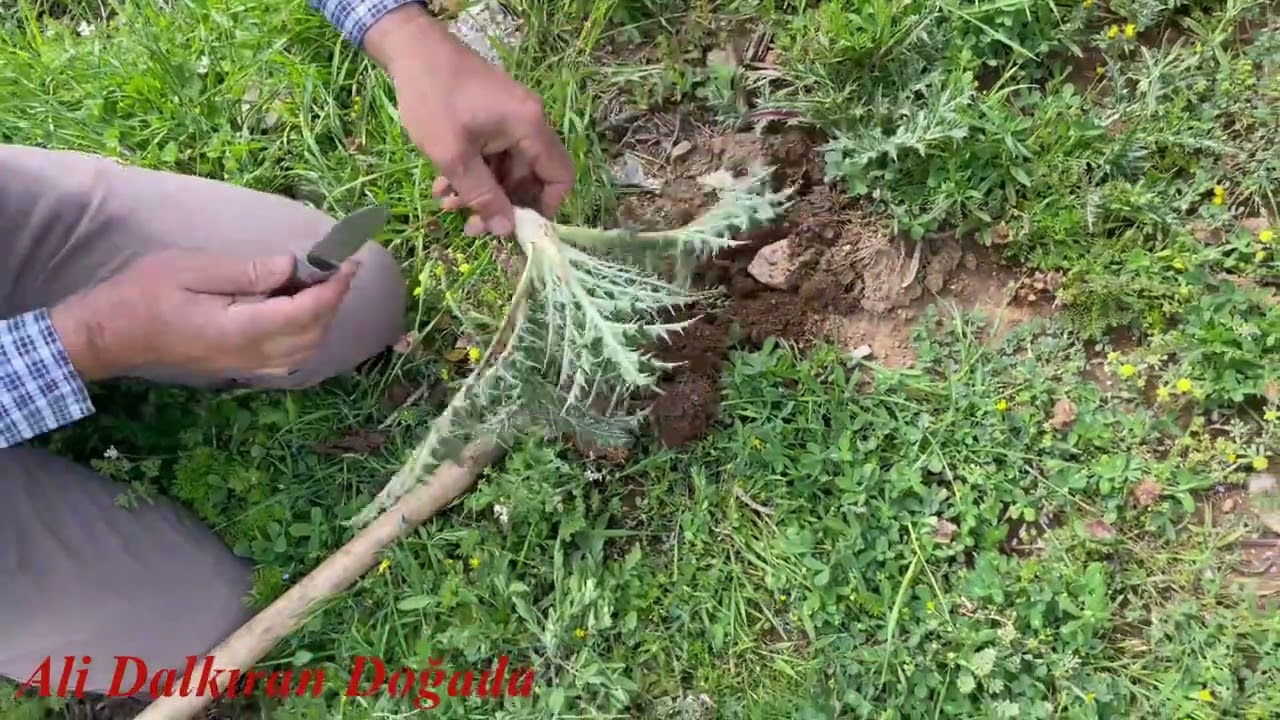 Andırın' da Kenger Sevenler