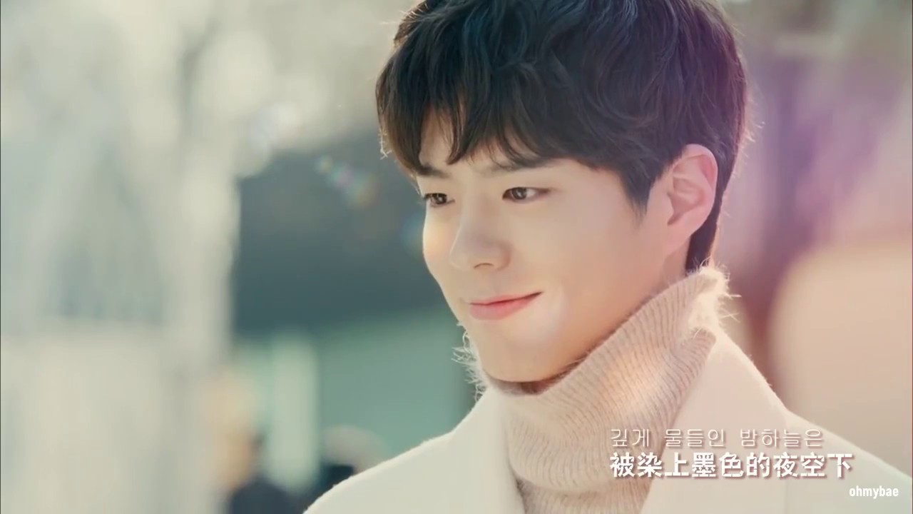 lee jongsuk x park bogum / shape of you