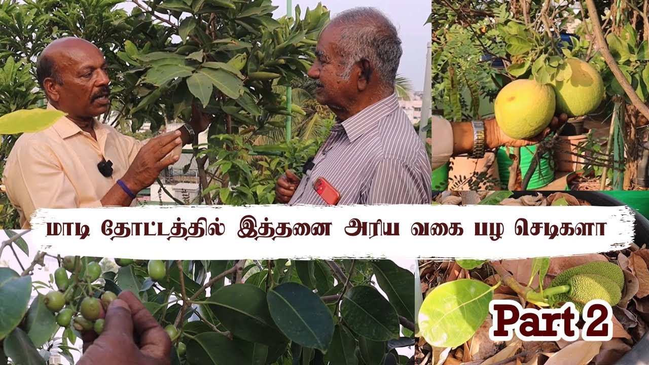 Part 2 is Here - Special Tour to Our 80-year-old Bio-Chemist Terrace Garden Again | Exotic Tasting😋