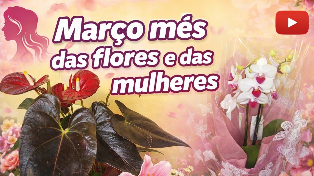 MÊS DAS FLORES  E DAS MULHERES 🌹🌼❤️