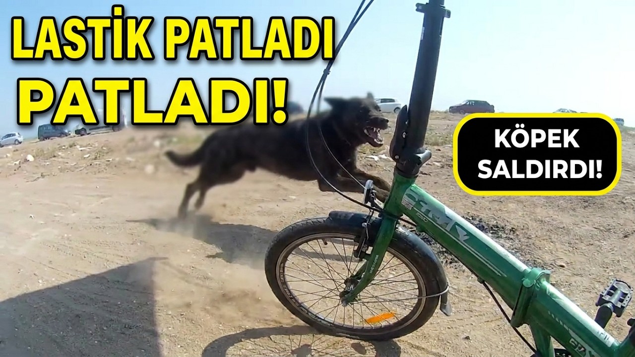 Kampta katlanır bisiklet lastik patladı köpek saldırdı KITMİR DEDİK#wohnmobil #camping 👌