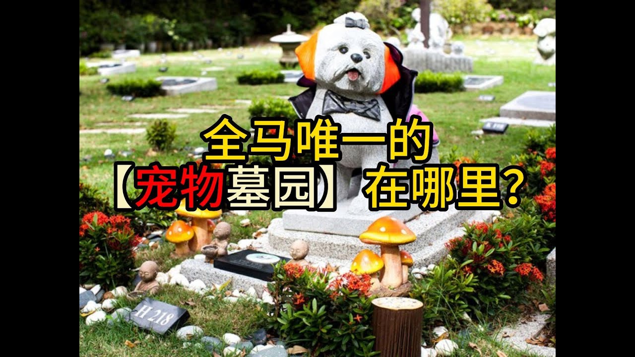 全马唯一的宠物墓园在哪里？