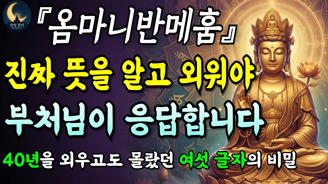[부처님말씀] 평생 외워도 몰랐던 옴마니반메훔 진짜 뜻을 알고 외우면 부처님이 응답합니다 ㅣ천수경ㅣ자면서 듣는 부처님 말씀