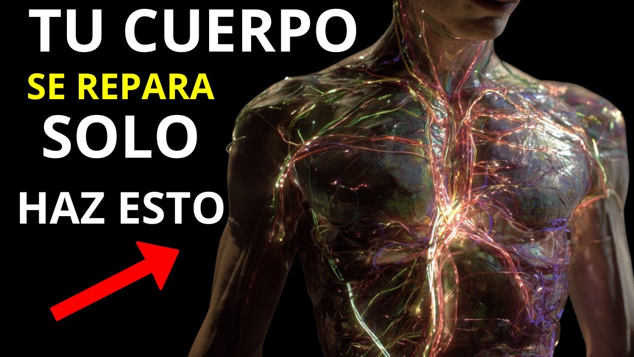 Si Haces Esto Cada Día, Tu CUERPO Entra En Modo REGENERACIÓN