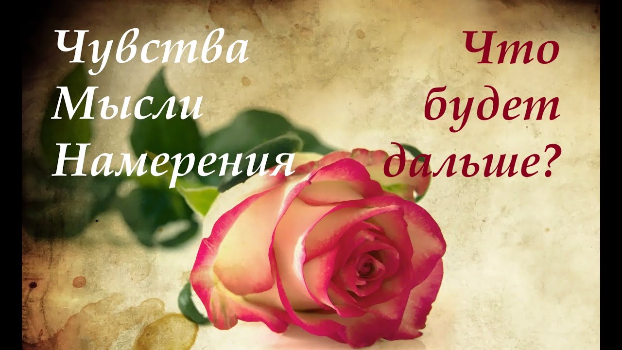 ЛЮБОВНЫЕ ОТНОШЕНИЯ. Его чувства, мысли, намерения. Как будут развиваться отношения? Гадание на Таро.