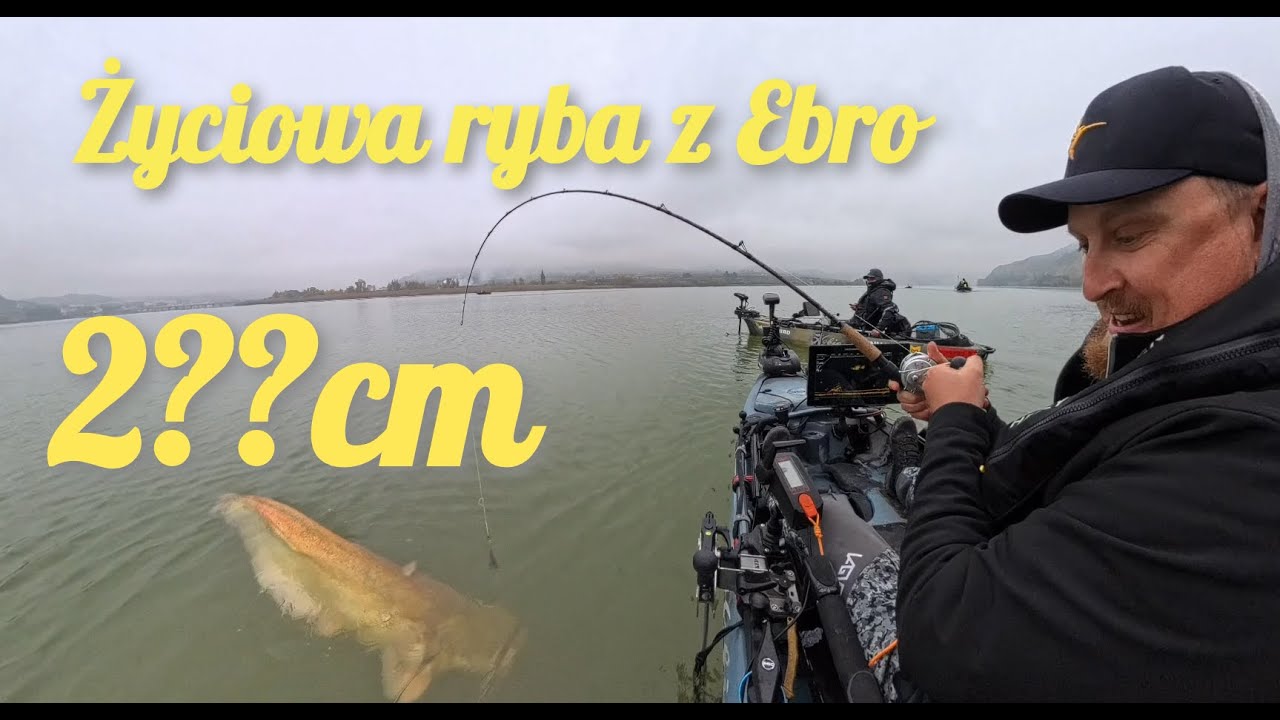 Ebro - Hiszpańska przygoda, sumy z Kajaka.
