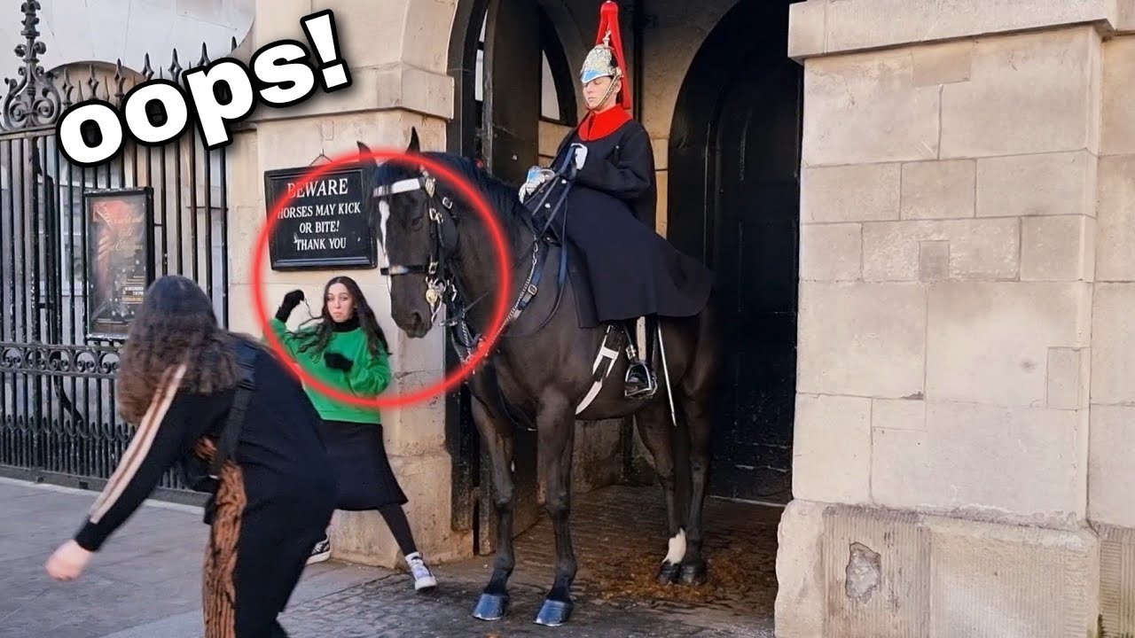 TEENAGERS Plays around with the Horse! 🐎
