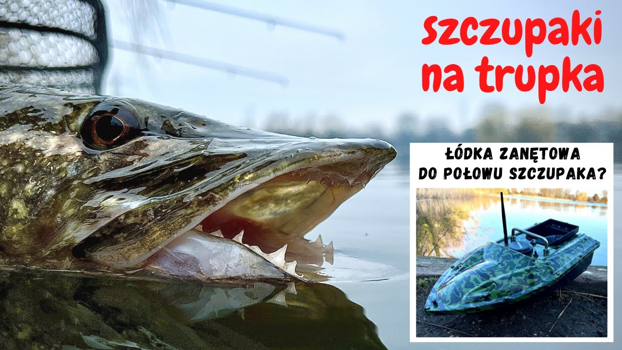 Jak złowić szczupaka za pomocą łódki zanętowej?