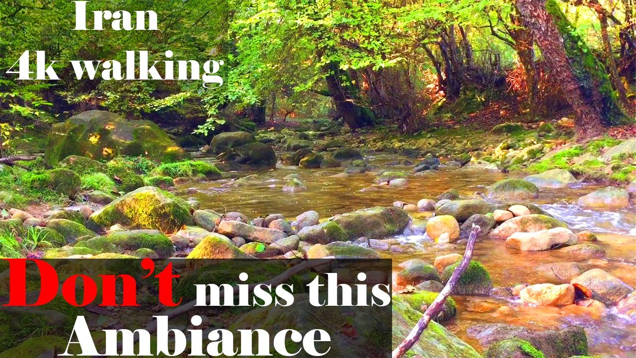 Beautiful Ambiance in North of Iran| [Iran 2021], [Walk with me Iran 2021] / ایران