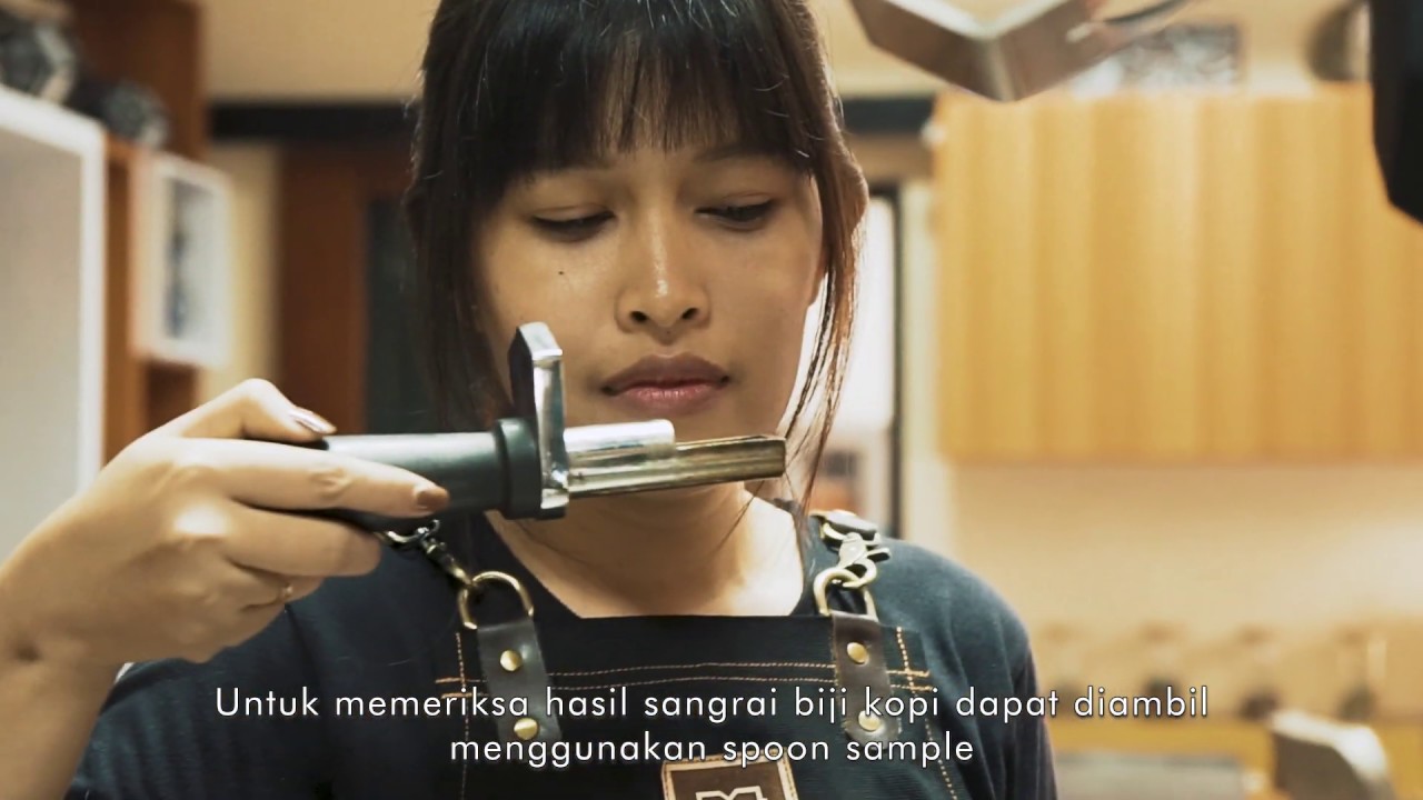 MULATOZ Coffee Roaster - MAXI TOBA Overview