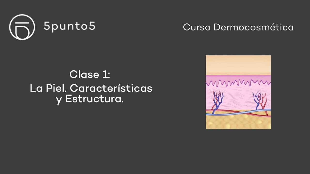 Curso Dermocosmética - Clase 1: La piel. Características y estructura.